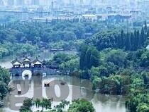 足球比分直播006-足球比分直播006，实时追踪绿茵场上的激情与悬念